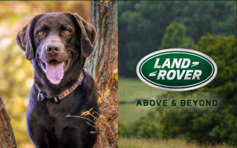 EINLADUNG – Kohler Automobile Happy Dog@Land Rover Village-Day