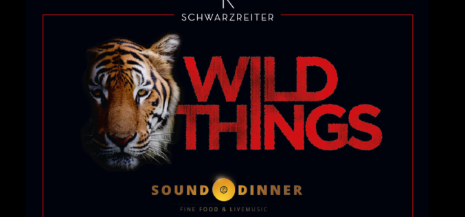 EVENT: Sound + Dinner …WILD THINGS…..
